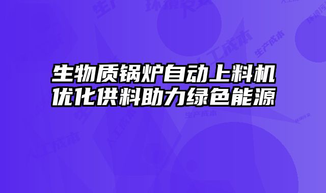 生物質(zhì)鍋爐自動(dòng)上料機(jī)優(yōu)化供料助力綠色能源