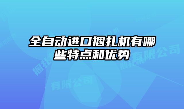 全自動進口捆扎機有哪些特點和優(yōu)勢